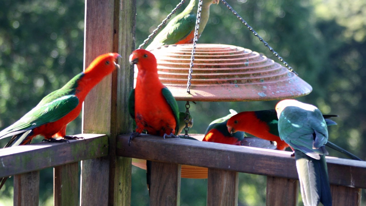 Photo of Others in Bandon Grove