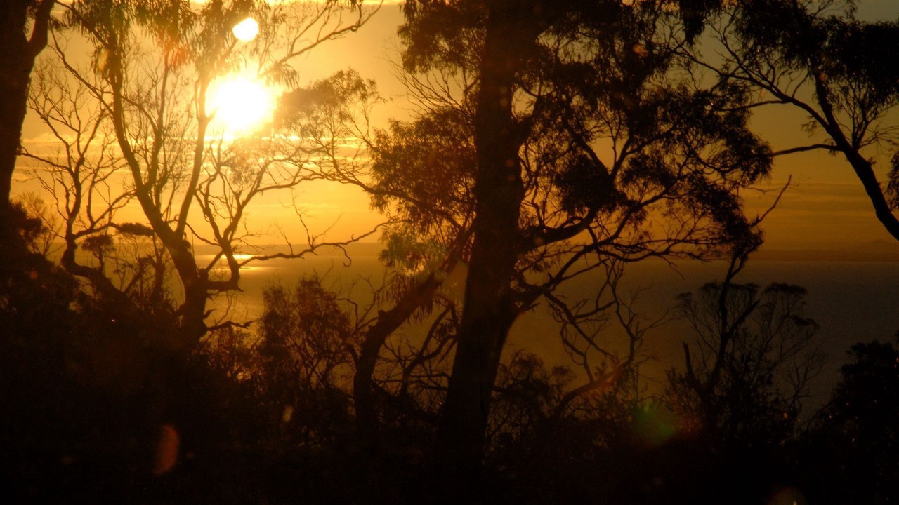 Photo of Others in Arthurs Seat