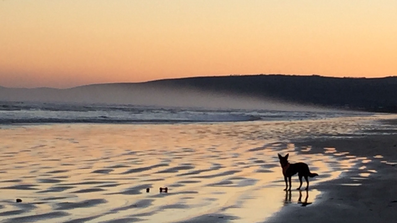 Photo of Others in Goolwa