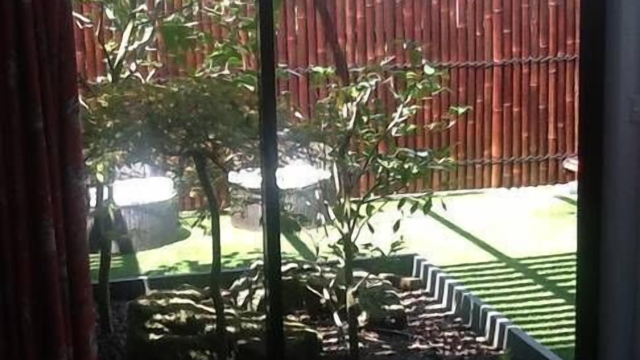 Photo of Outdoor in Torquay