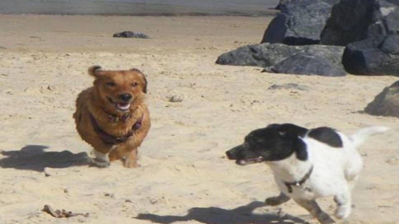 Photo of Others in Pambula Beach