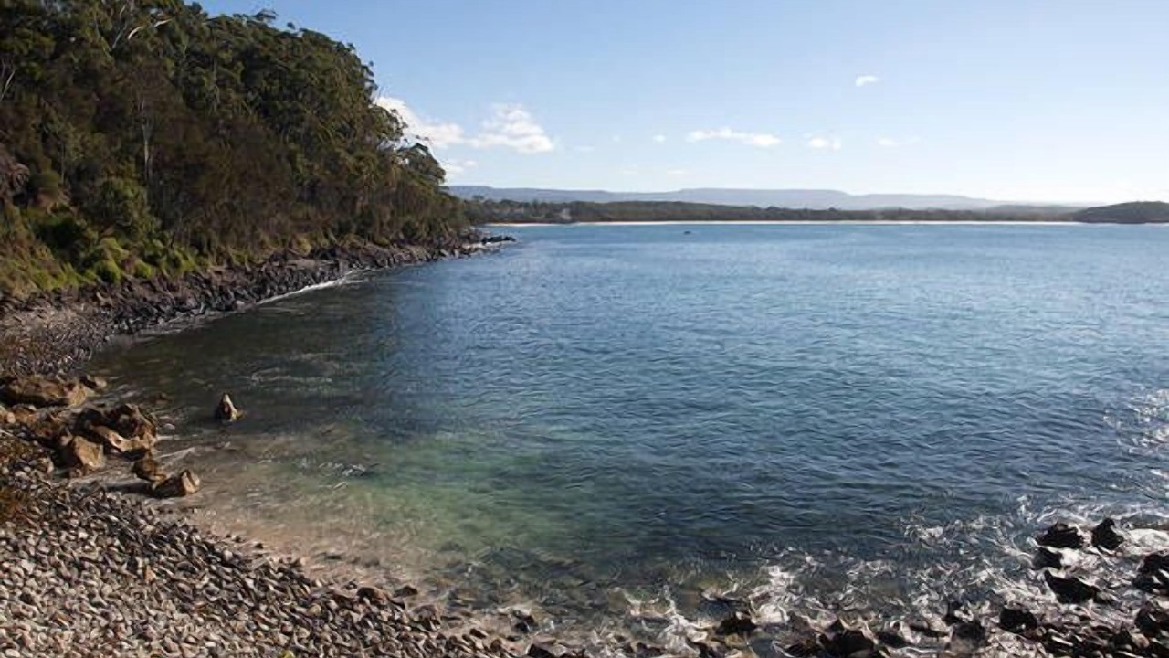 Photo of Others in Mollymook Beach