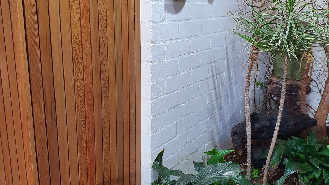 Photo of Outdoor in Mollymook Beach