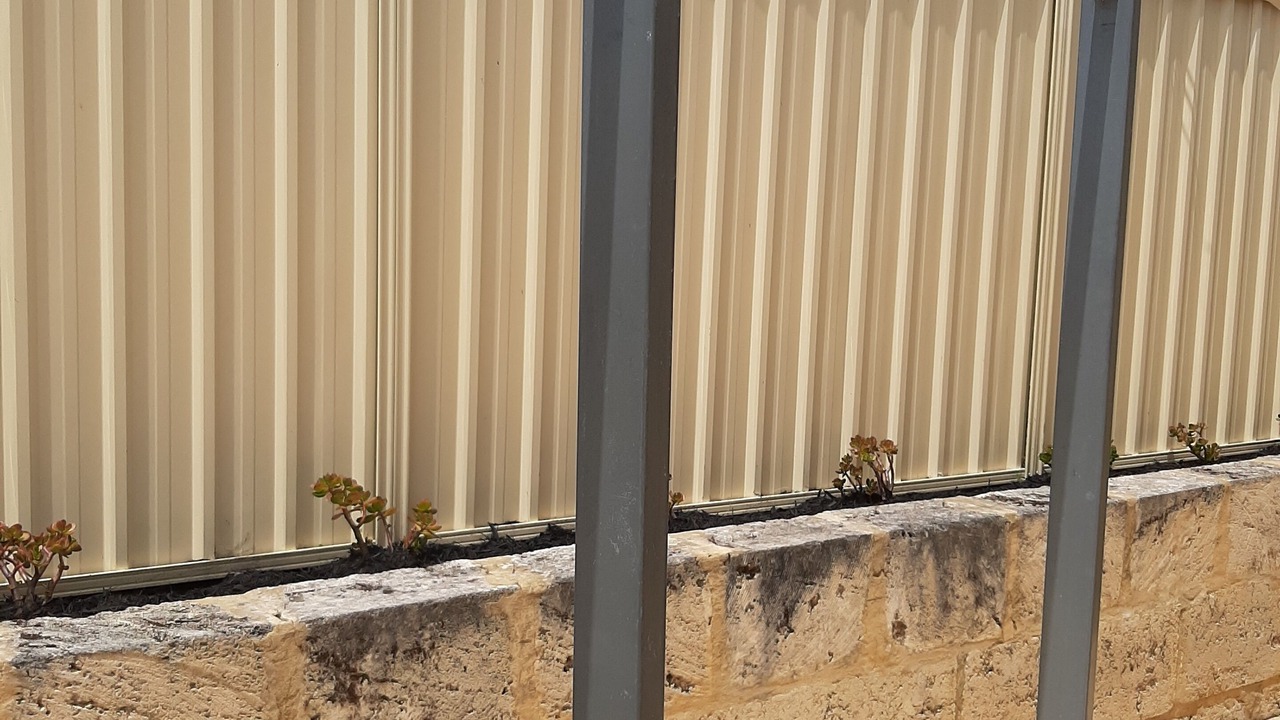 Photo of Others in Ballajura