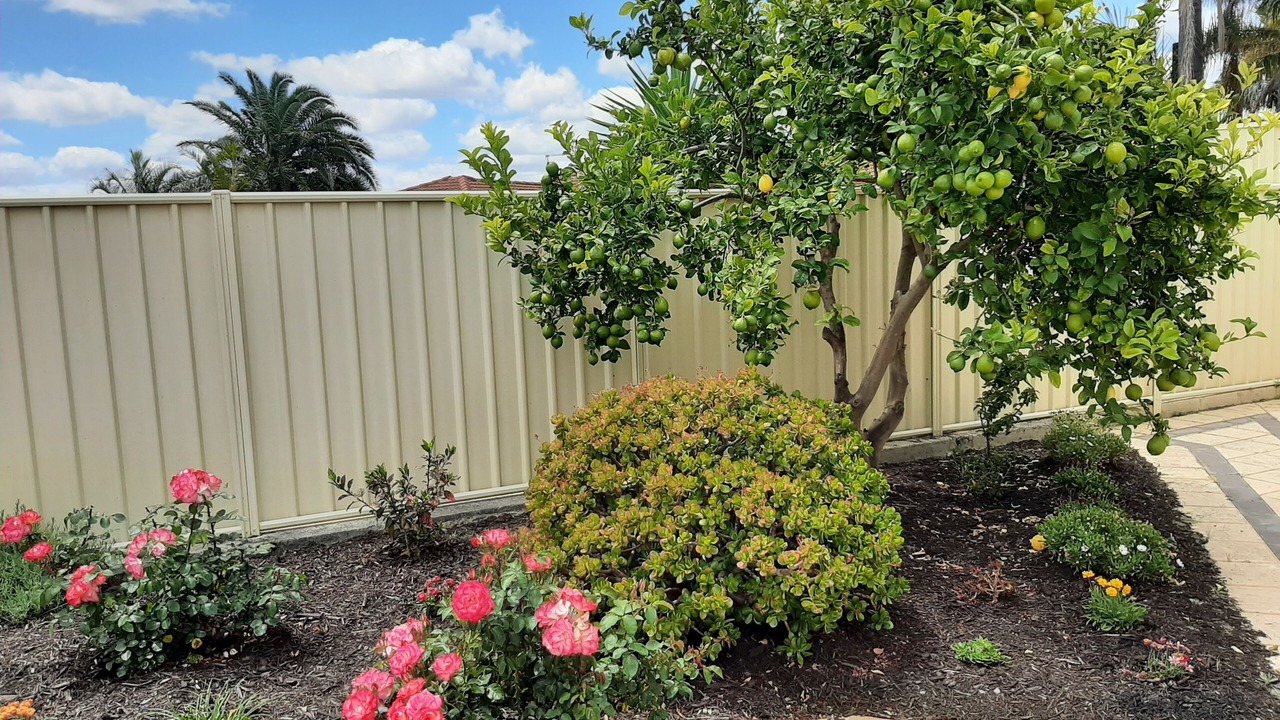 Photo of Others in Ballajura