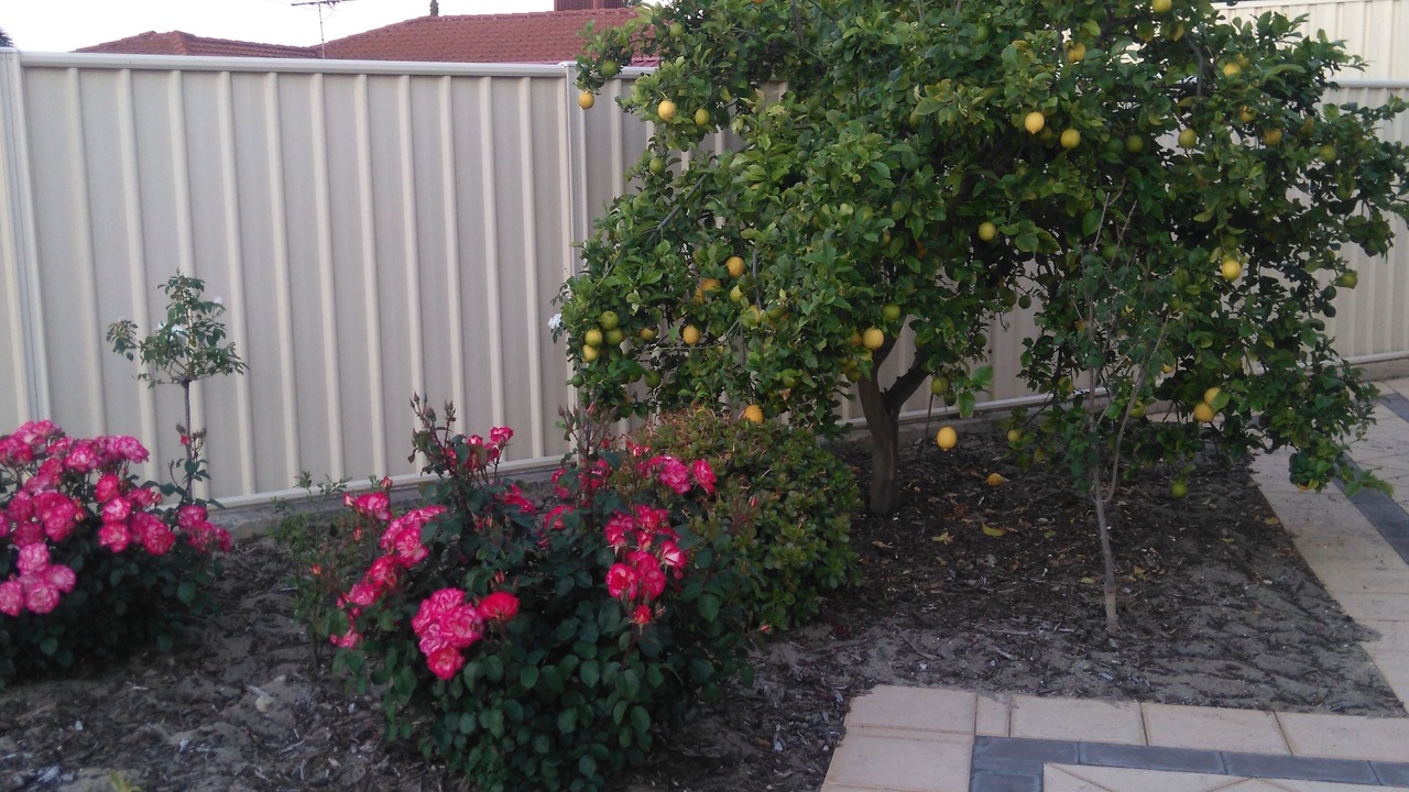 Photo of Outdoor in Ballajura