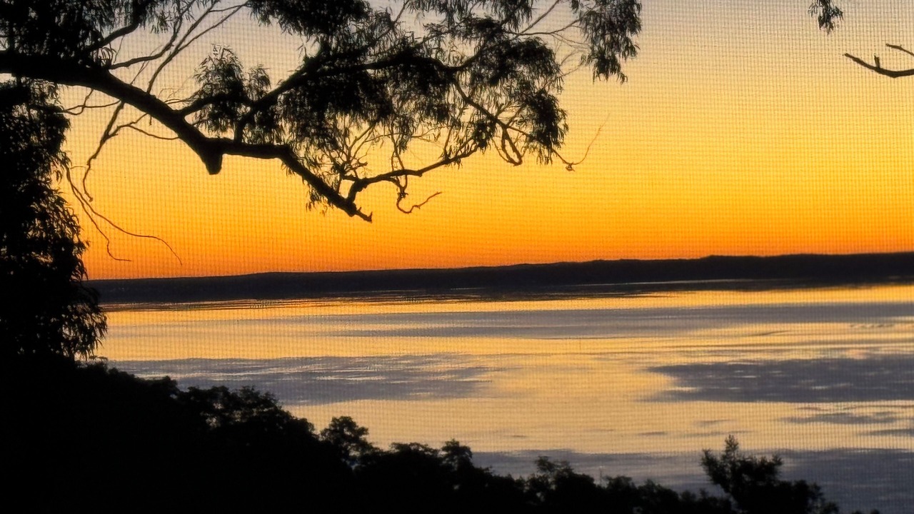 Photo of Others in Kingfisher Bay