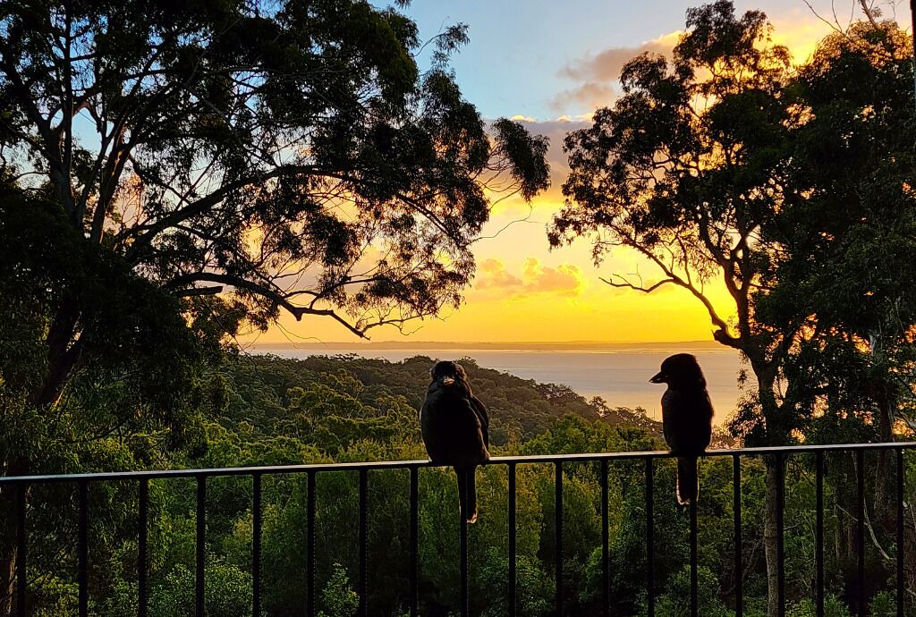 Photo of Others in Kingfisher Bay