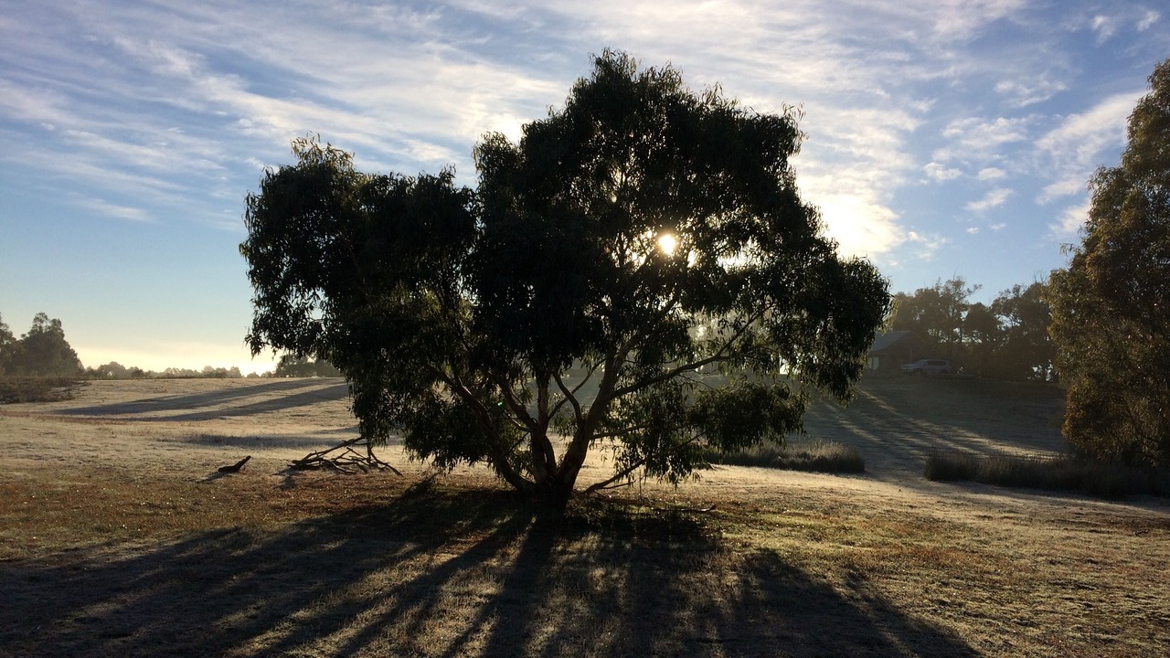 Photo of Others in Halls Gap