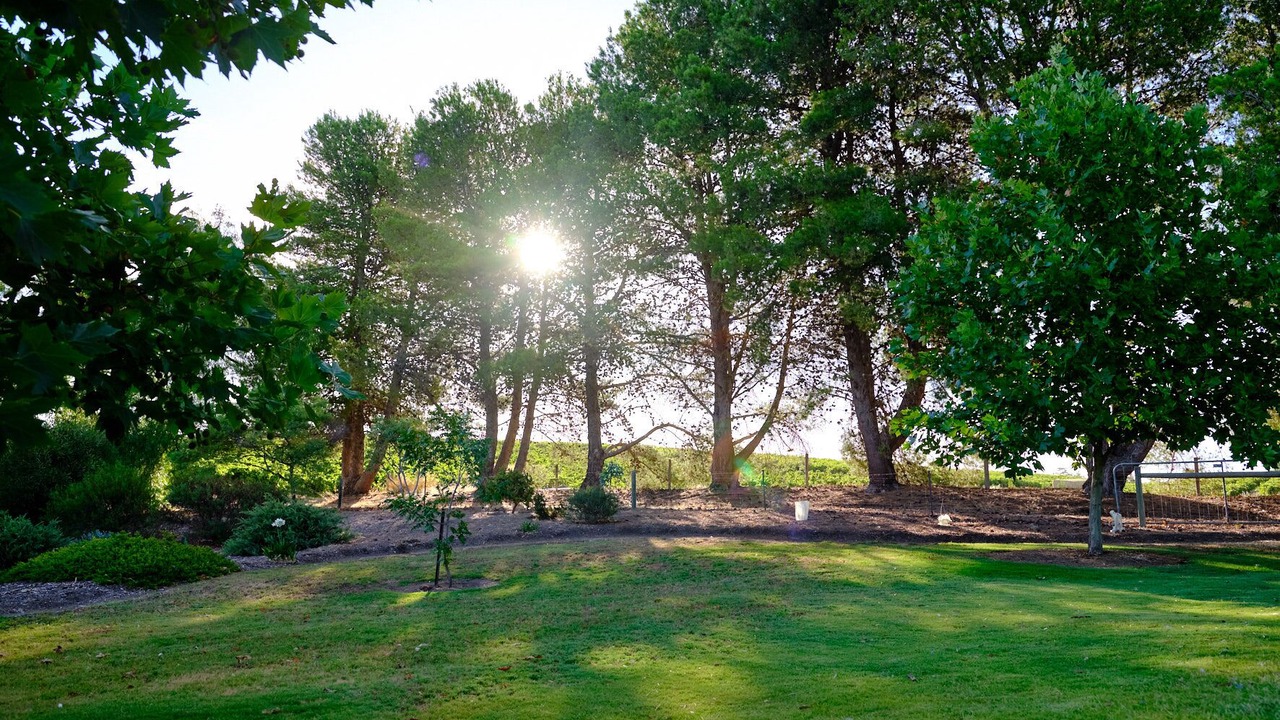 Photo of Outdoor in Rowland Flat