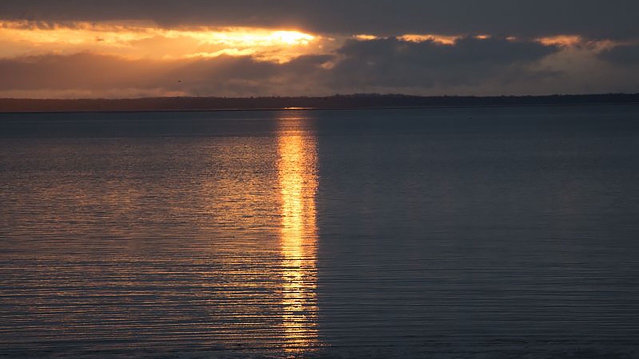 Photo of Others in Kingfisher Bay