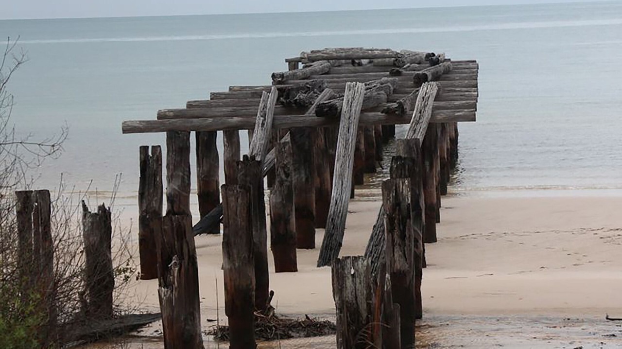 Photo of Others in Kingfisher Bay