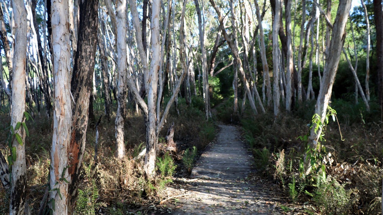 Photo of Outdoor in Kingfisher Bay