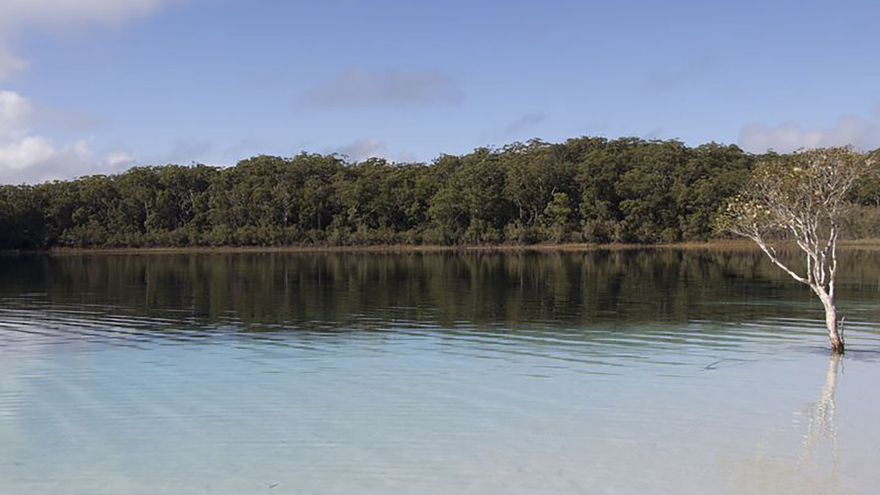 Photo of Outdoor in Kingfisher Bay