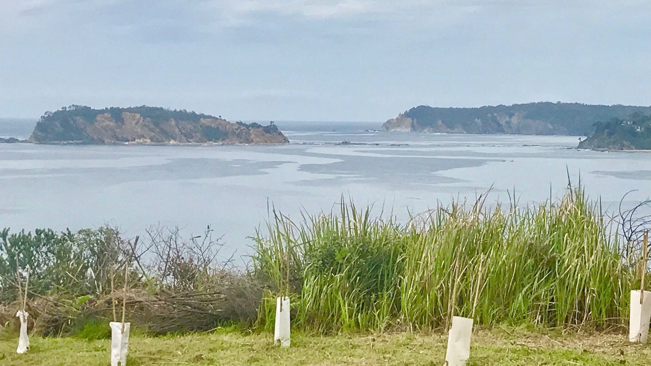 Photo of Others in Malua Bay