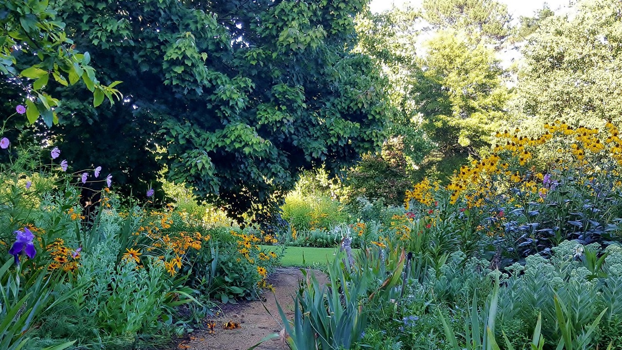 Photo of Outdoor in Arcadia