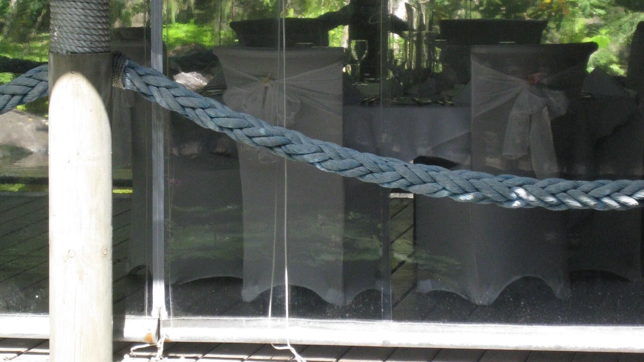 Photo of Outdoor in Port Douglas