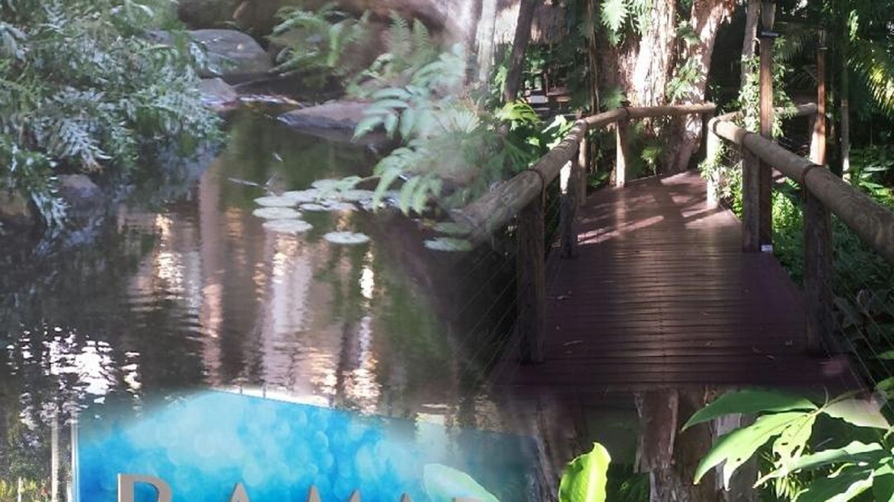 Photo of Outdoor in Port Douglas