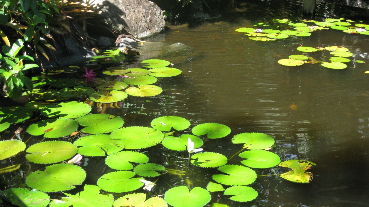 Photo of Outdoor in Port Douglas