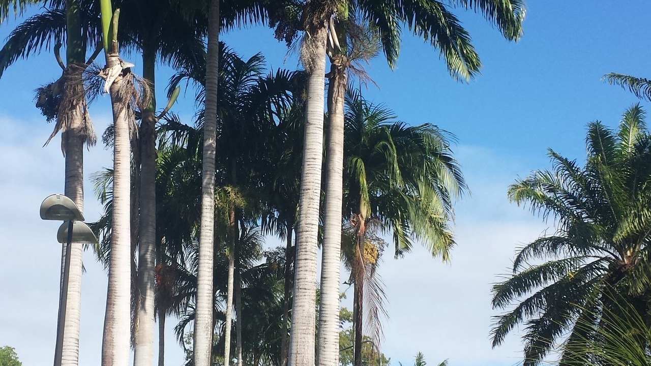 Photo of Outdoor in Port Douglas