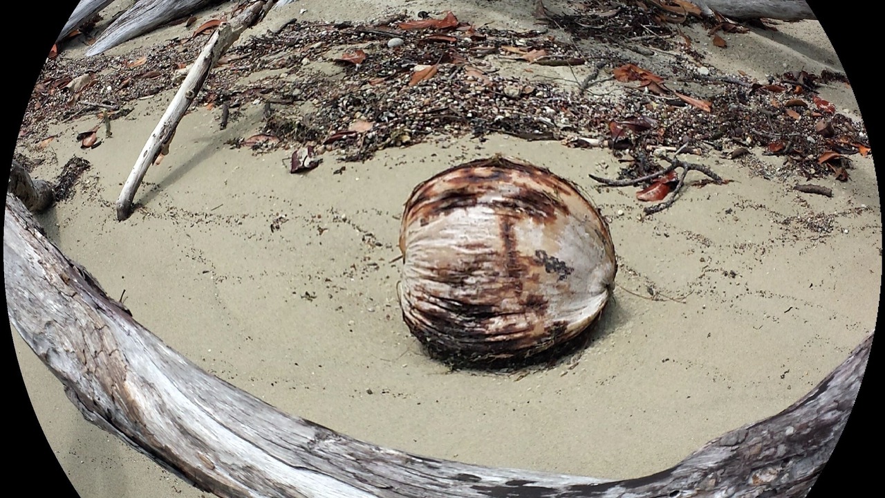 Photo of Others in Port Douglas