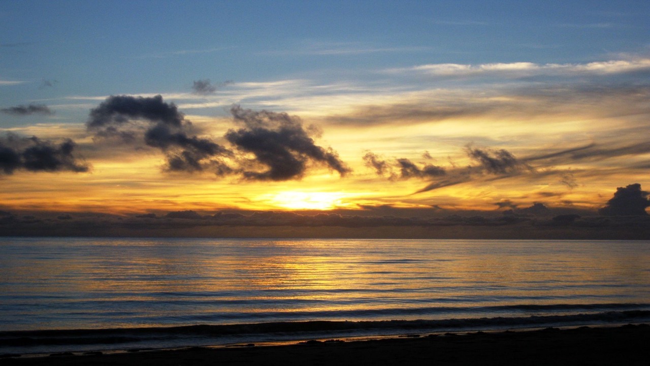 Photo of Others in Port Douglas