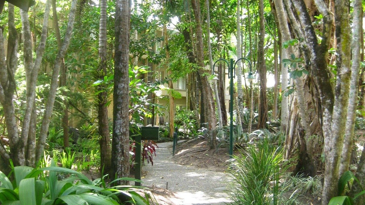 Photo of Outdoor in Port Douglas