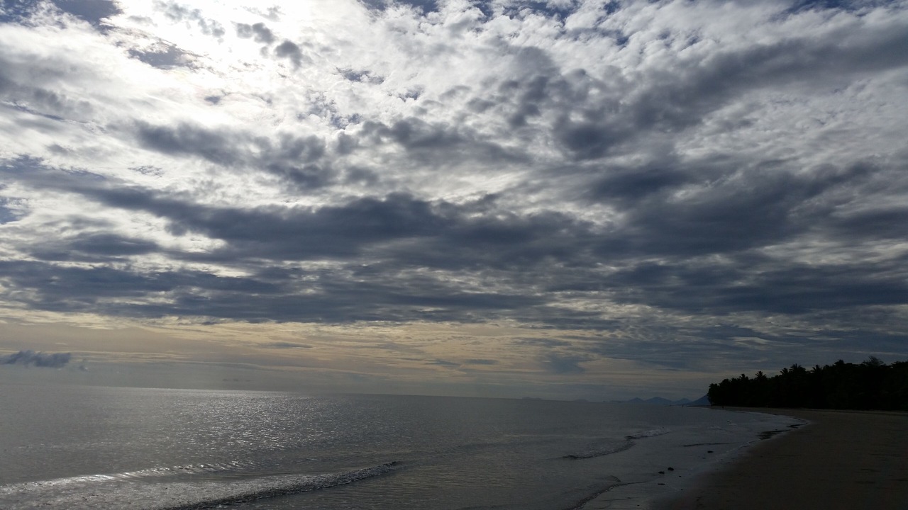 Photo of Others in Port Douglas