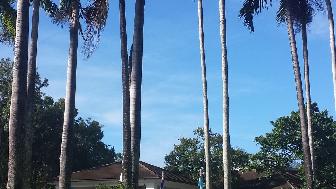 Photo of Outdoor in Port Douglas