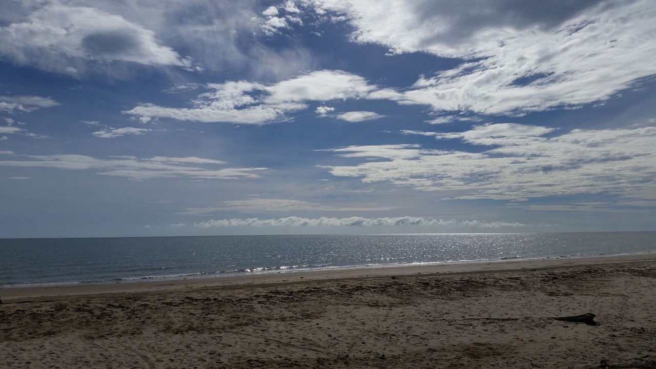 Photo of Others in Port Douglas