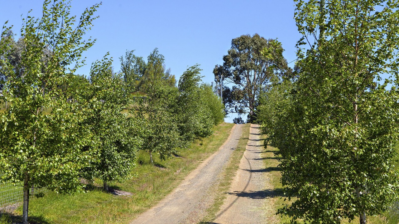 Photo of Others in Cradoc