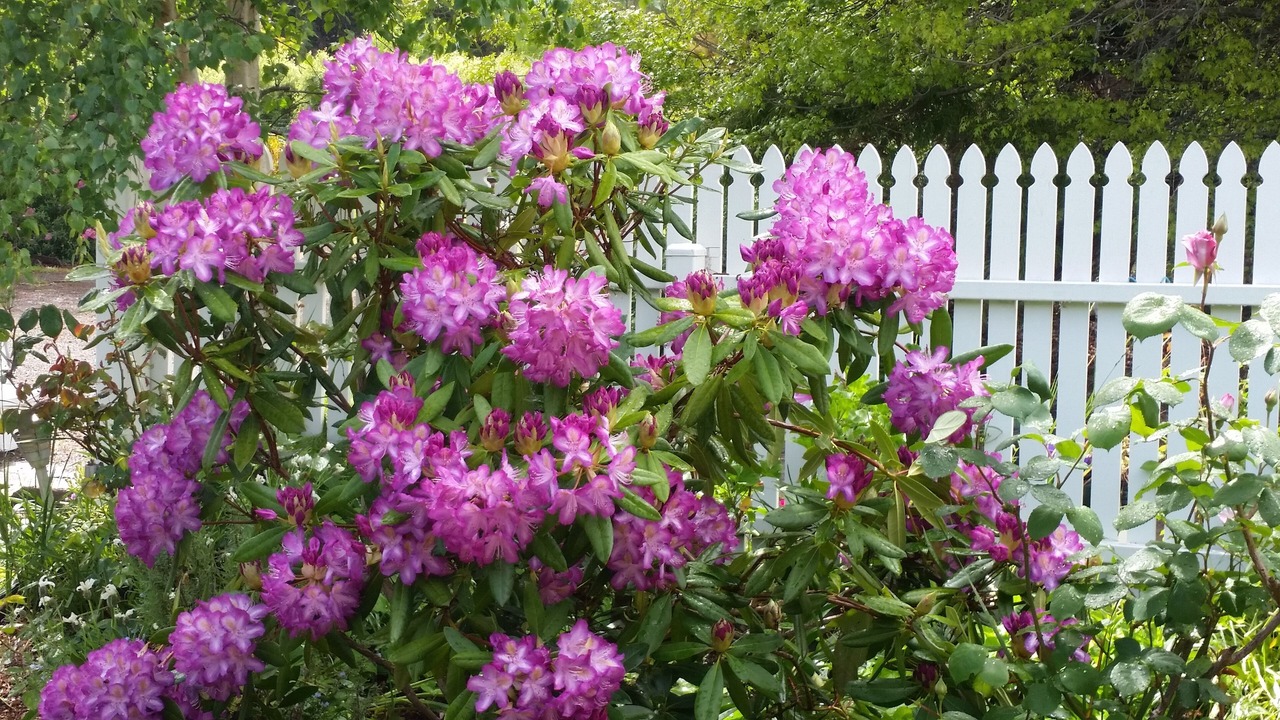 Photo of Outdoor in Cradoc