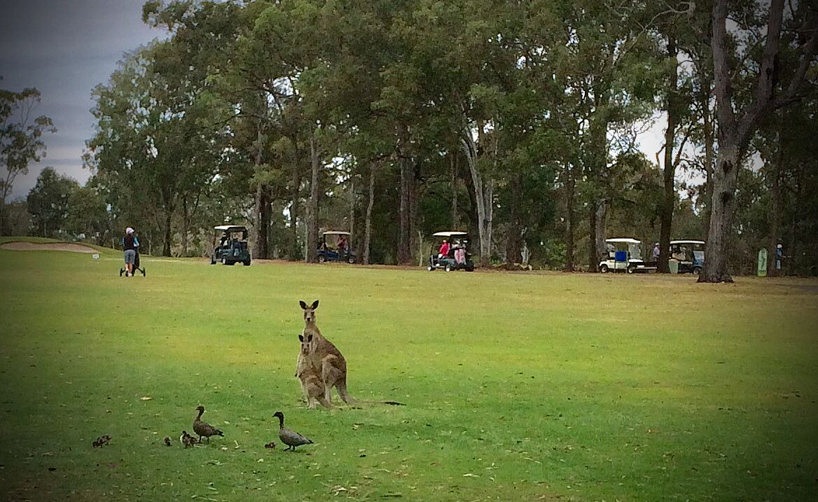 Photo of Others in Urangan
