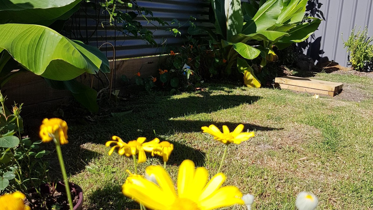 Photo of Outdoor in Pambula Beach