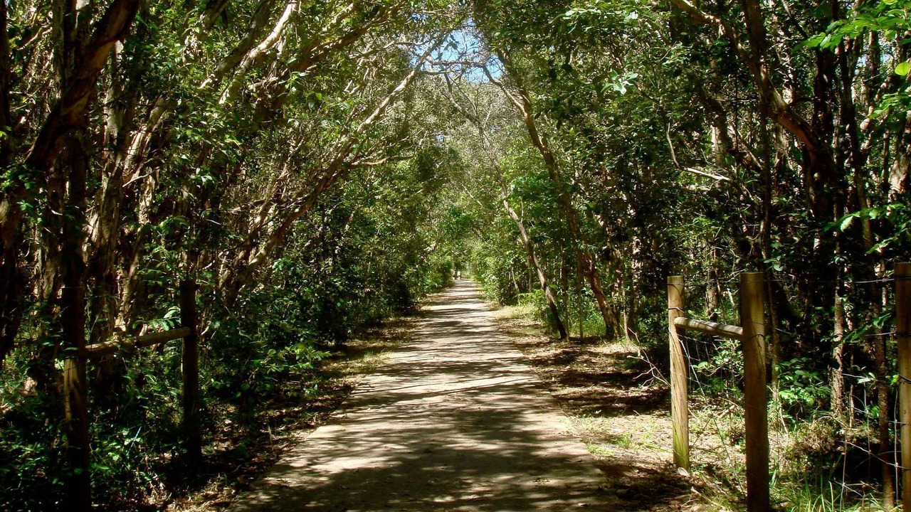 Photo of Outdoor in Mount Coolum