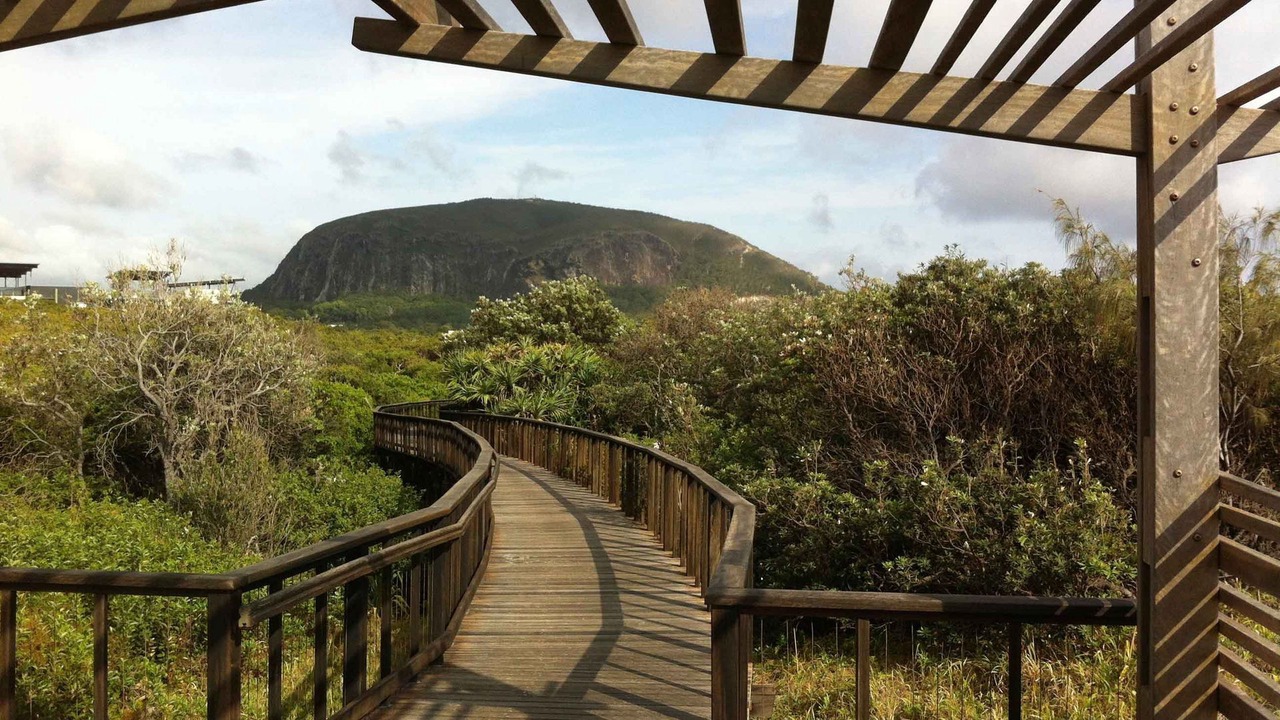 Photo of Others in Mount Coolum