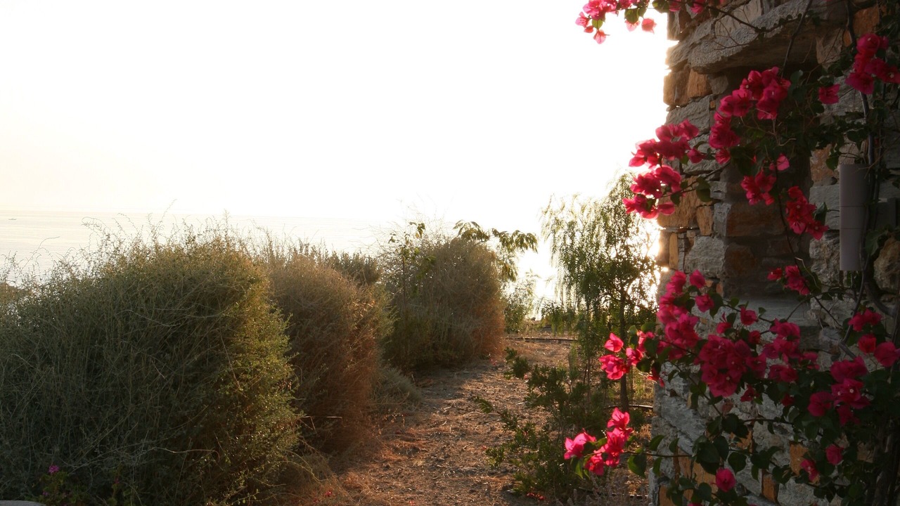 Photo of Outdoor in Pisses
