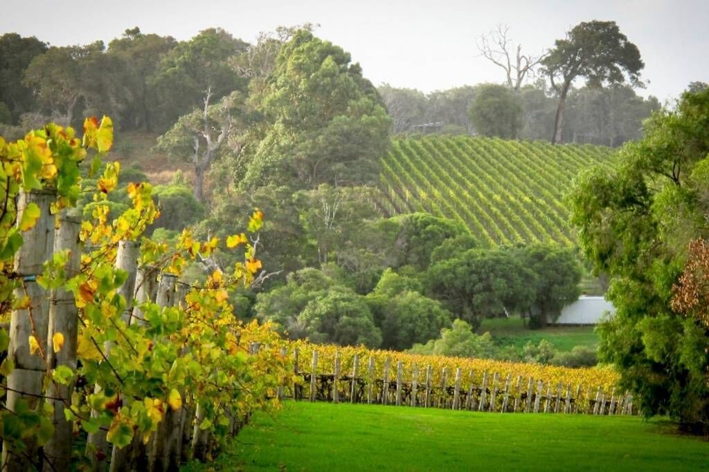 Photo of Outdoor in West Busselton