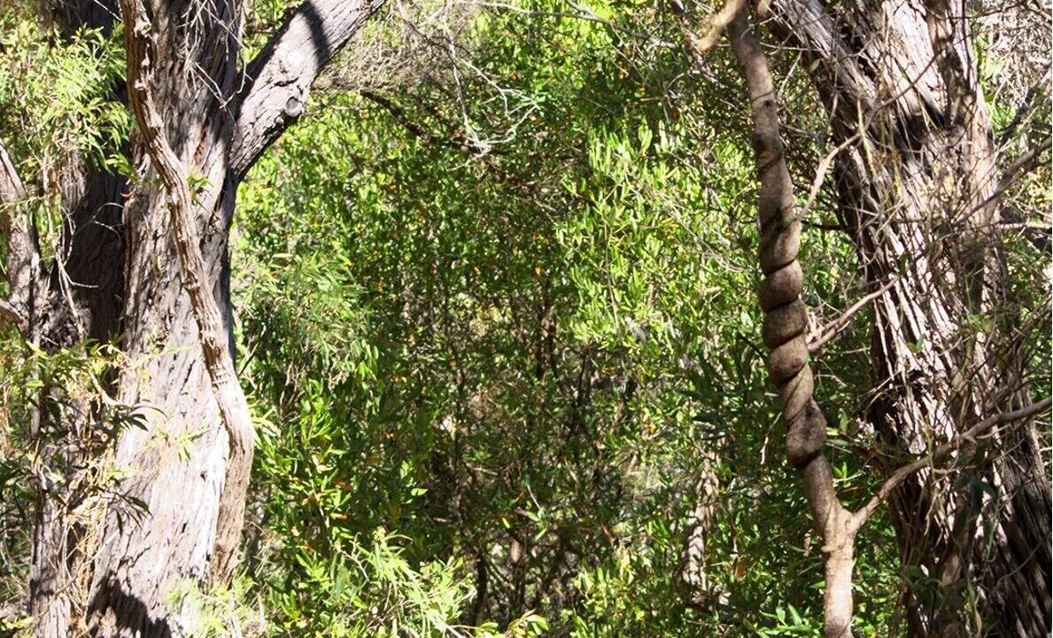Photo of Outdoor in West Busselton