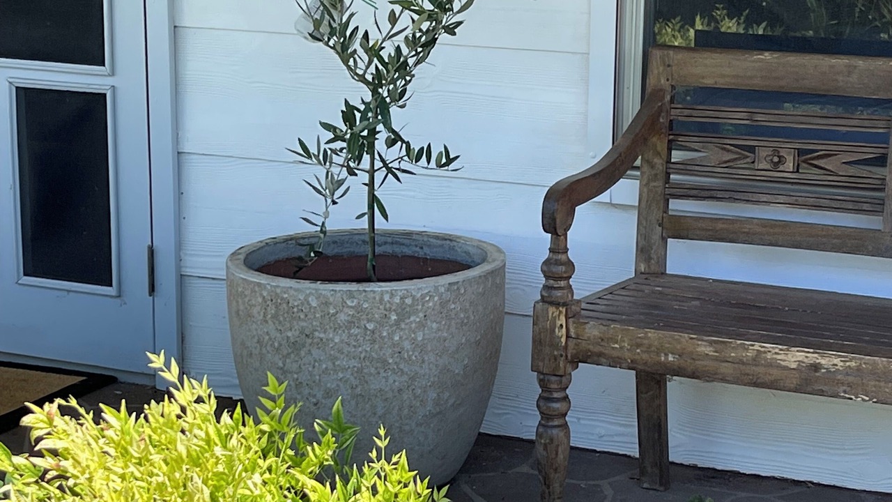 Photo of Patio Balcony in Port Willunga