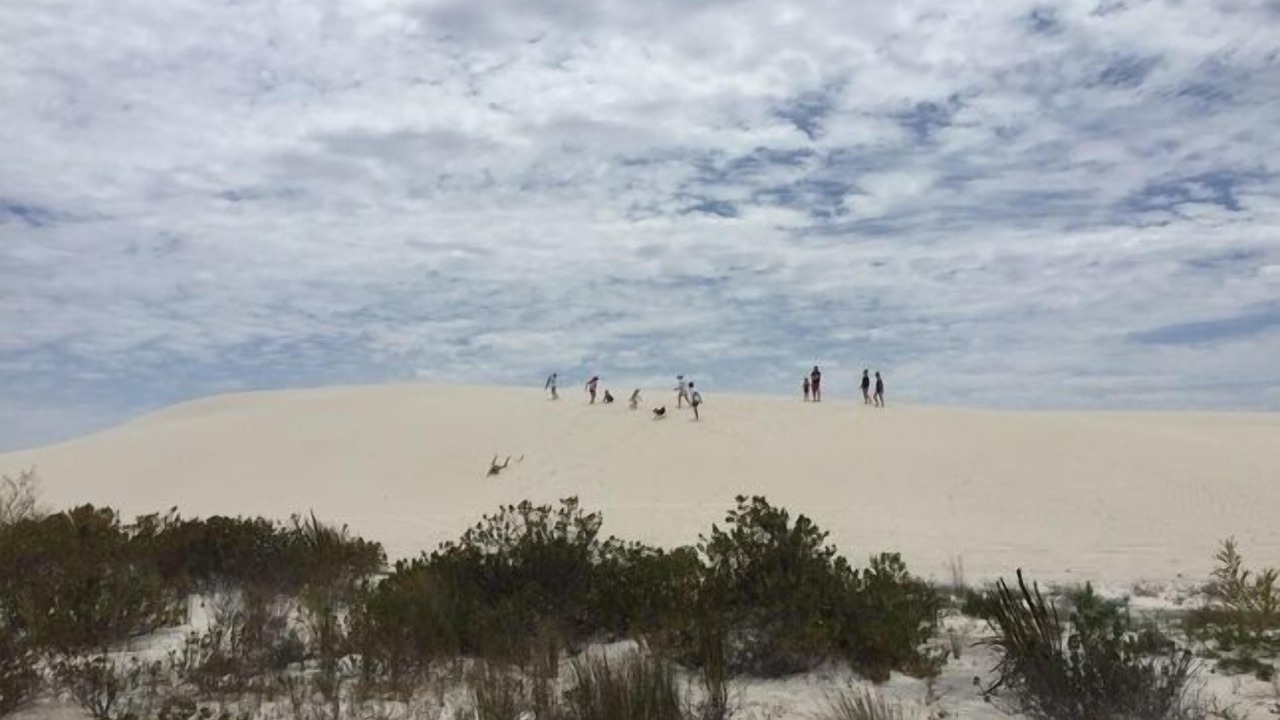 Photo of Others in Leeman