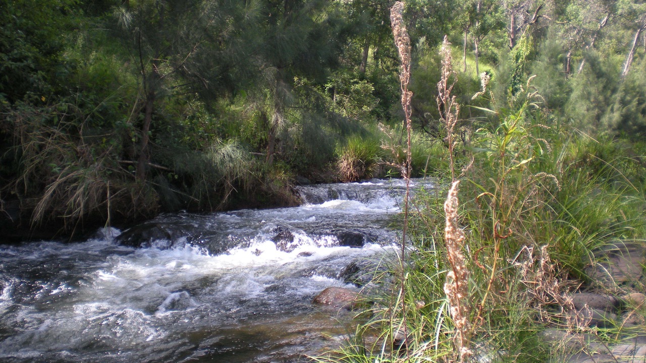 Photo of Outdoor in Chinghee Creek