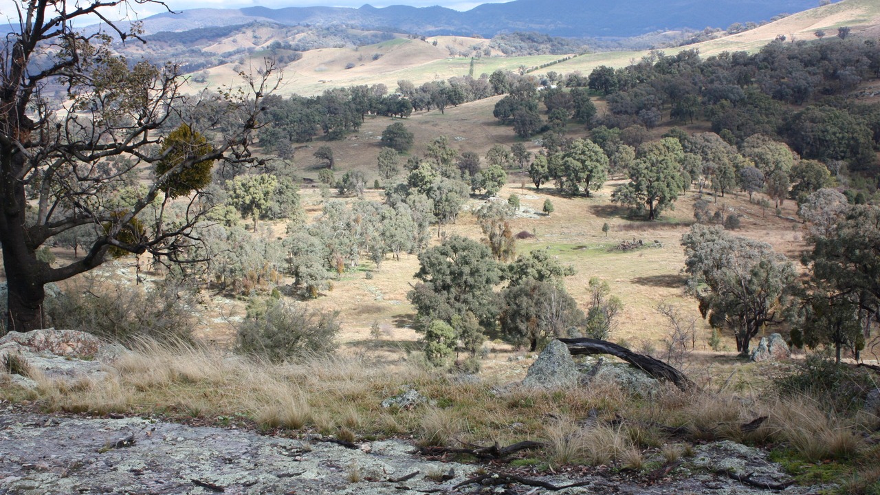 Photo of Others in Central Mudgee