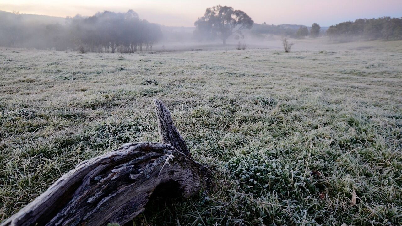 Photo of Others in Central Mudgee