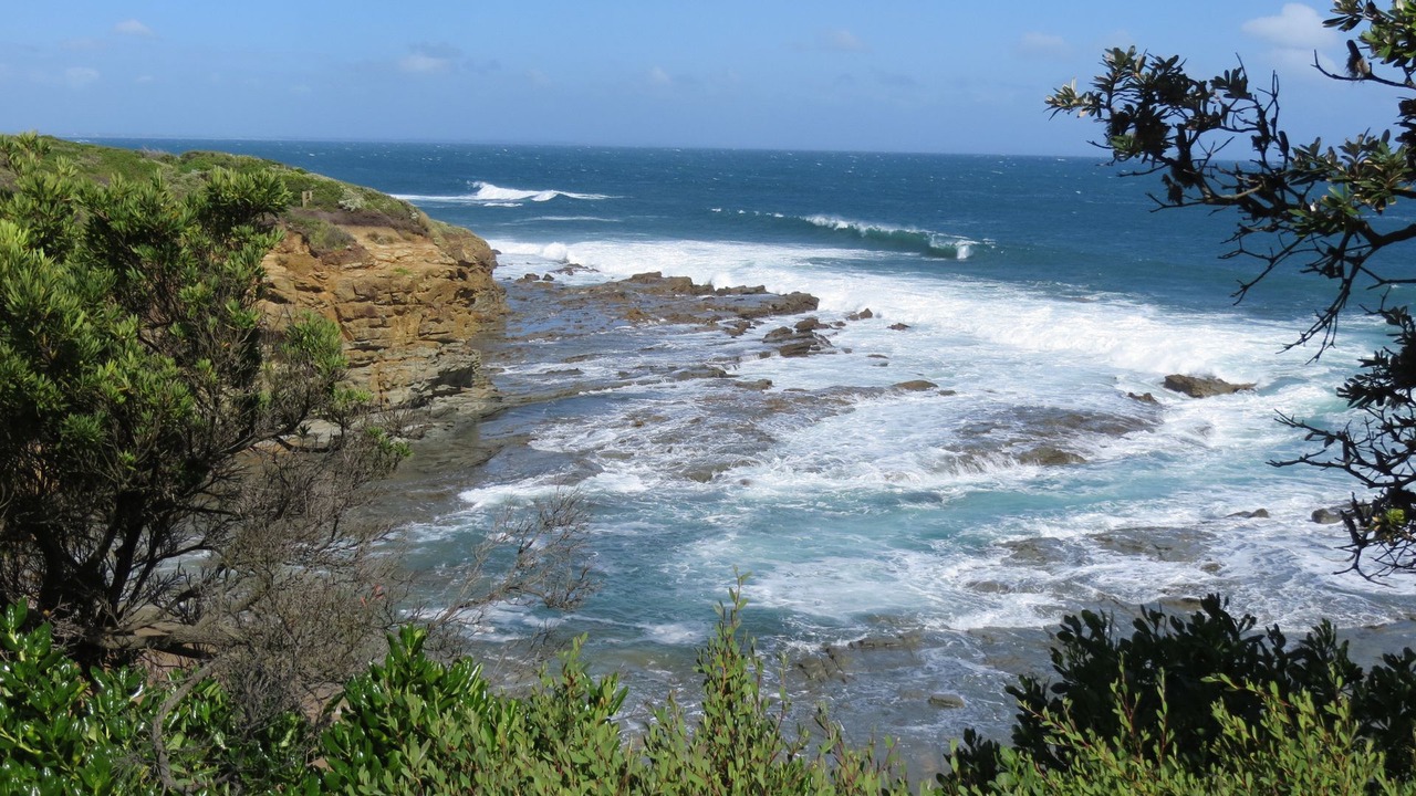 Photo of Others in Cape Paterson