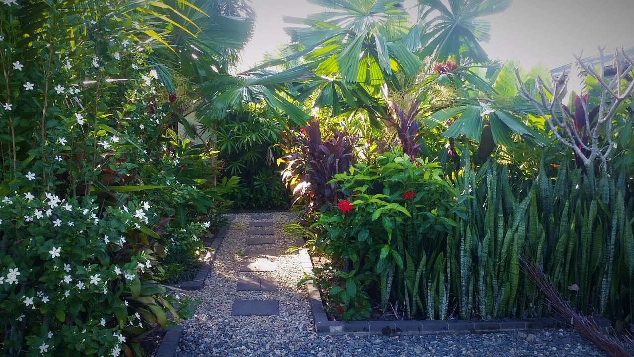 Photo of Outdoor in Craiglie