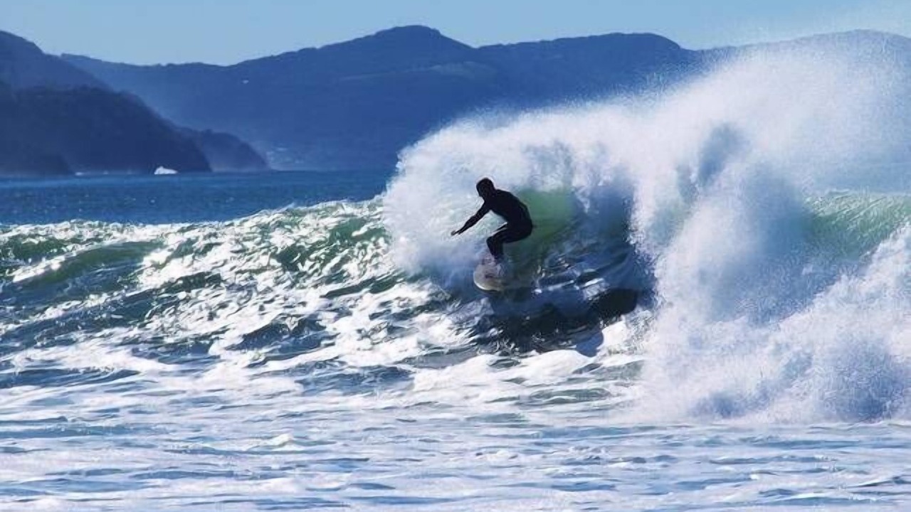 Photo of Others in Bulli