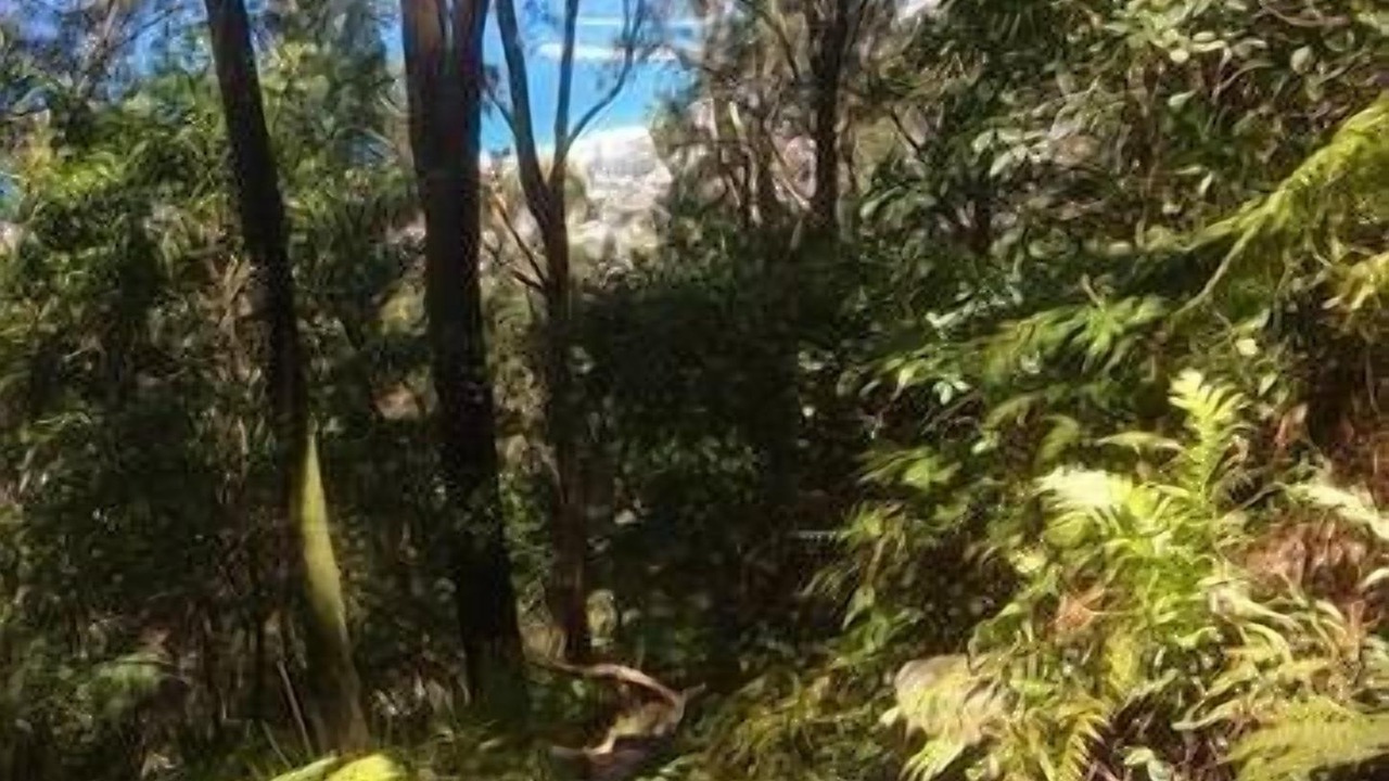Photo of Outdoor in Bulli
