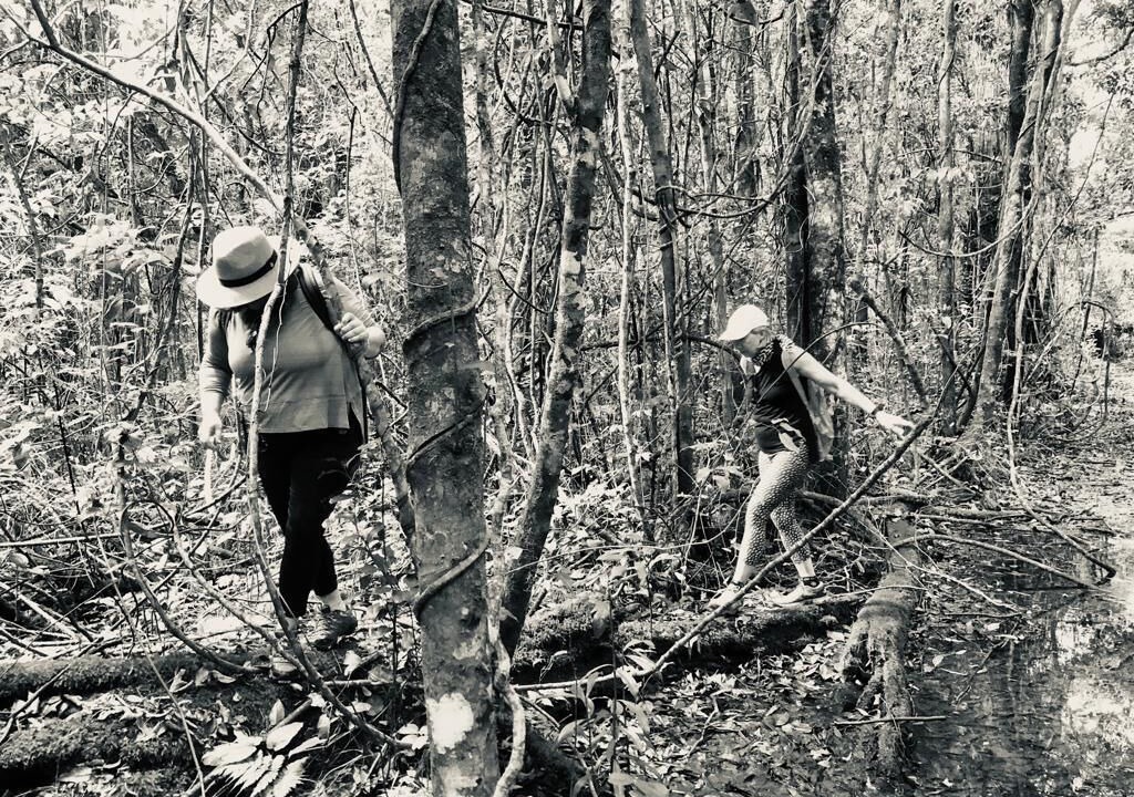 Photo of Others in Salisbury