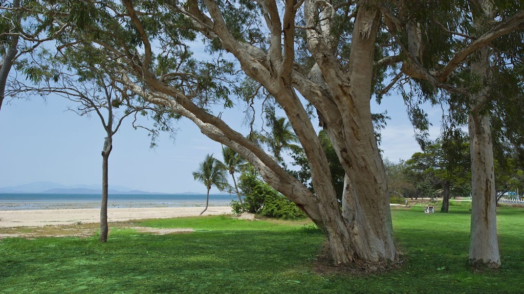 Photo of Others in Arcadia